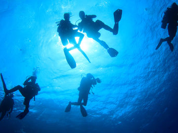 A deep dive into digital transformation and innovation