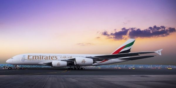 To innovate and survive, airlines need to stop flying buggy whips and beating dead horses