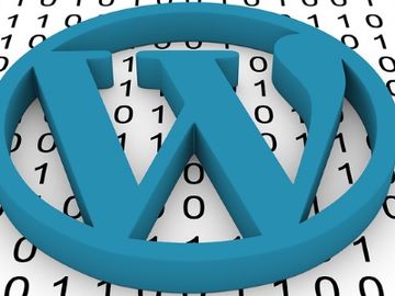 WordPress for hotels - an effective alternative to increase direct bookings