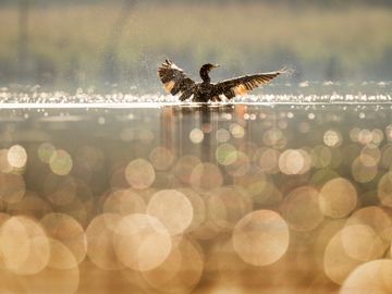 Get social or go home! Tours, activities and attractions need to spread their wings