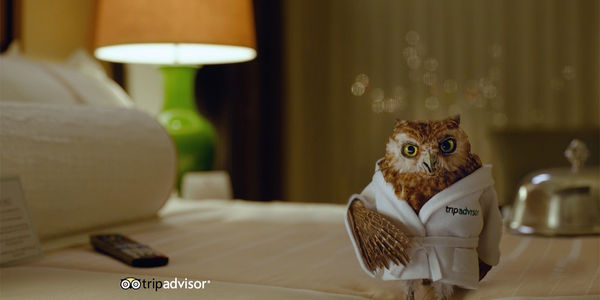 In playing the 'long game,' TripAdvisor incurs some short-term pain