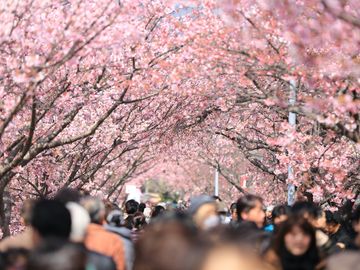 4 essential search marketing strategies to capture spring travel demand