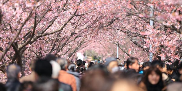 4 essential search marketing strategies to capture spring travel demand