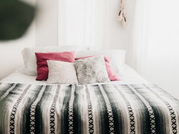 This company pairs science with IoT connectivity to kill bed bugs in hotels