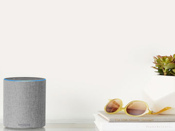 Consumers would prefer the Amazon of travel to be Amazon