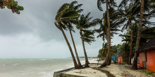 GDS data shows impact of Typhoon Haiyan on leisure bookings