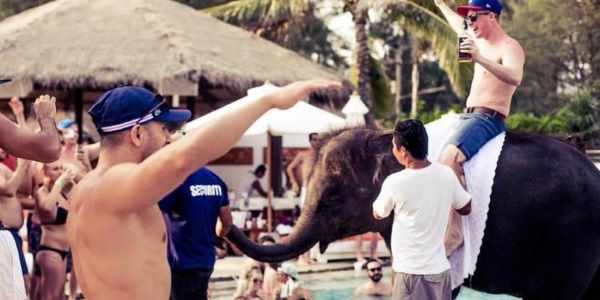 Thailand attraction ignites social media storm with elephant picture on Facebook