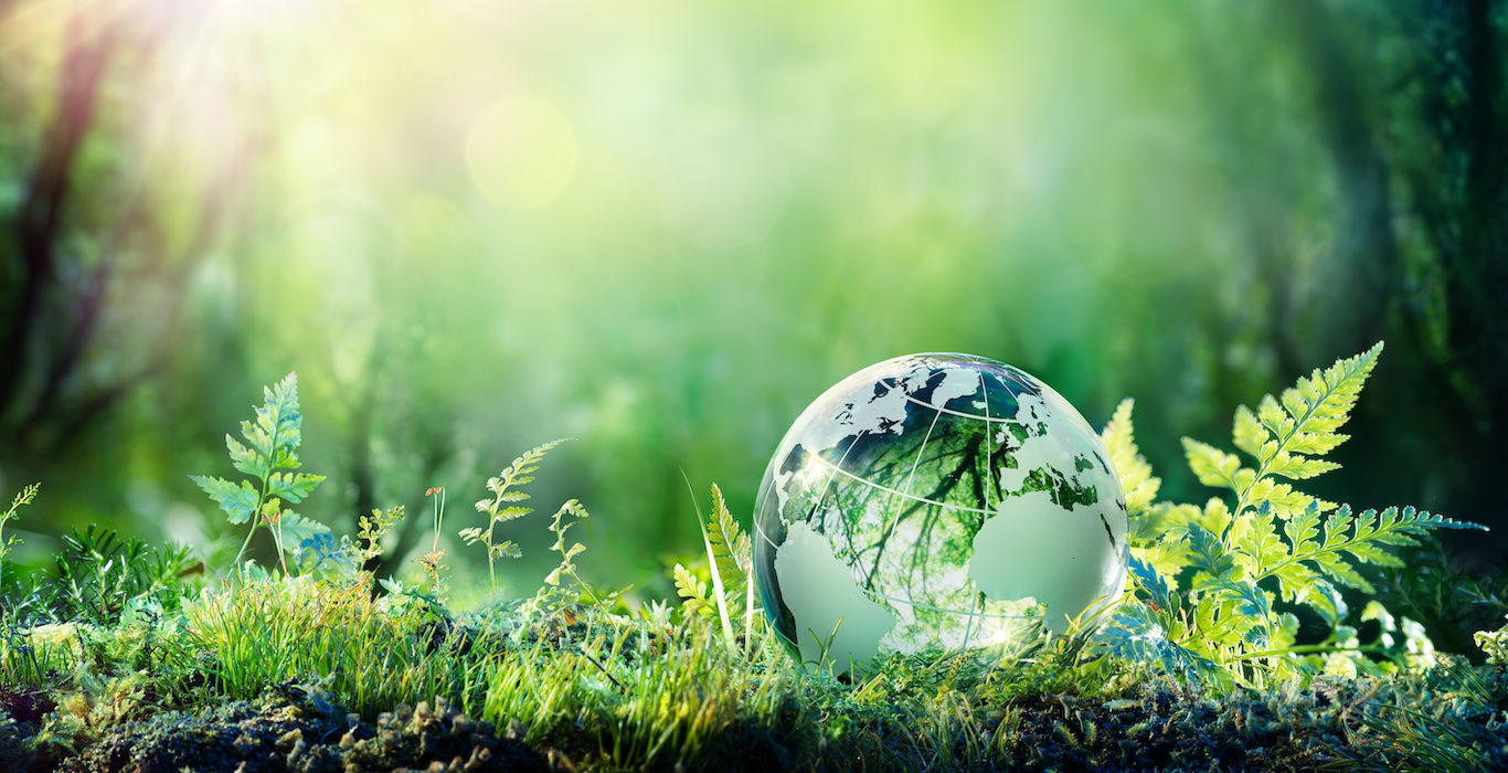 How to Host a Safe and Sustainable In-Person Event