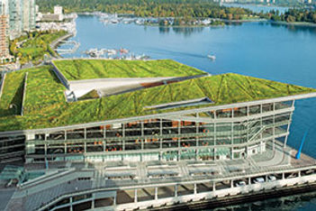 Green Rooftop