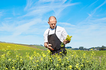 Aaron Meneghelli Carneros Inn