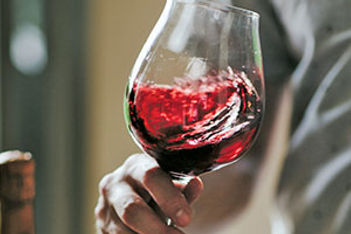 Wine tasting stock