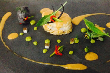 lionfish dish