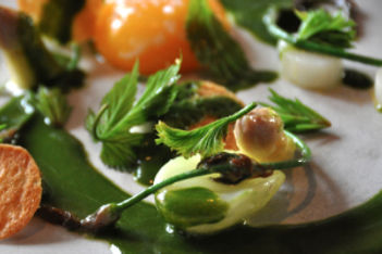 fresh food - 370