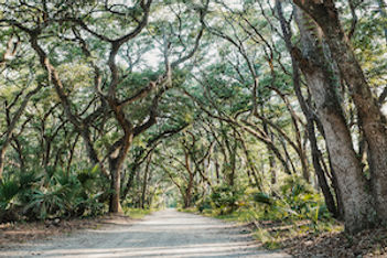 Palmetto Bluff Conservancy