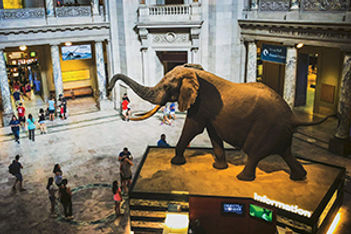 National Museum of Natural History Washington