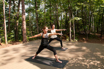 Wellness Forest Yoga