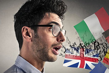 Multilingual audience