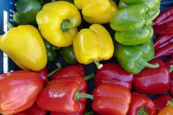 Farm-to-Table 2.0