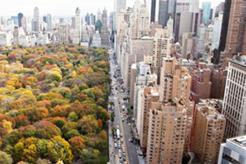 toptier nyc 1 