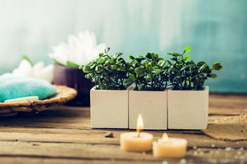 5 Wellness Trends for 2017