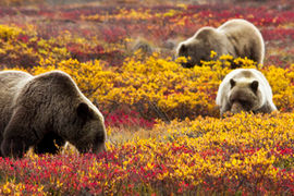 The Top 10 National Parks to Visit in Fall