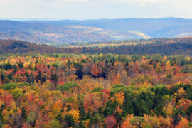 The Top 10 Fall Travel Destinations in the United States