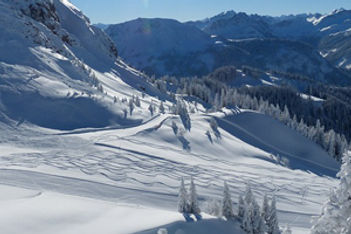 whistler - 370