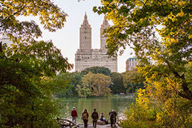 NYC Central Park view