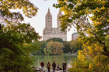 NYC Central Park view