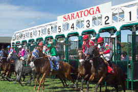 saratoga horses - 370