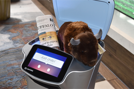 robot butler westin buffalo