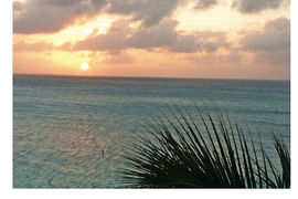 Caribbean Charm