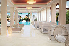 Grand Reserve Paradisus Palma Real rendering stub