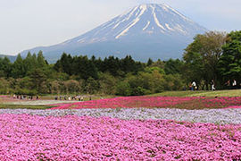 mt fuji japan 1