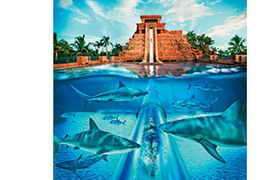 Atlantis 20th anniversary