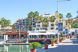 los cabos 8