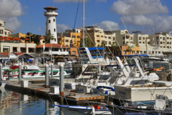 los cabos odile