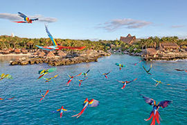 Natural Surroundings of Riviera Maya