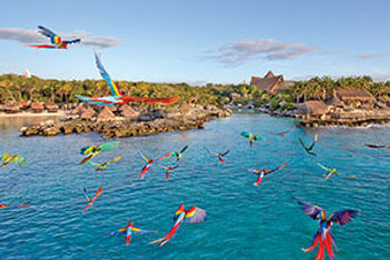 Natural Surroundings of Riviera Maya