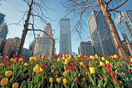 Chicago Is Ready for Meetings