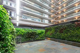 cleveland living wall
