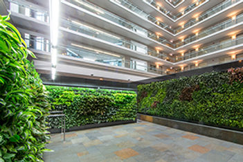 cleveland living wall