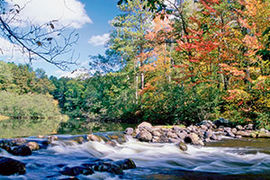 Wisconsin lush backdrop