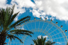 Orlando Getty 2