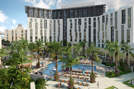 hilton palm 