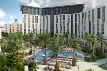 hilton palm 