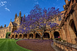 New 198-room Hotel at Duke University to Debut in January