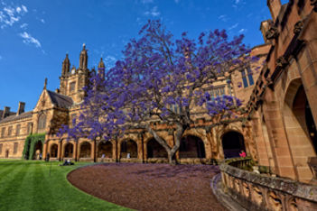 New 198-room Hotel at Duke University to Debut in January