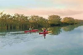 What's New in West Florida?