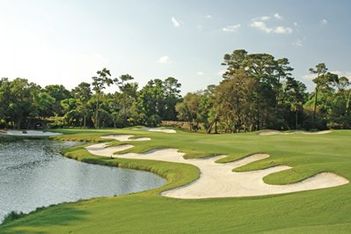 A Fresh Look at Georgia and the Carolinas